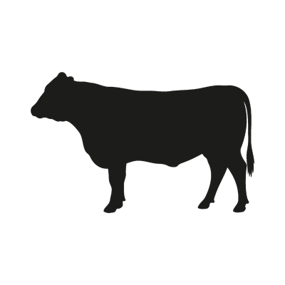 Beef