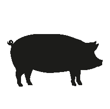 Pork