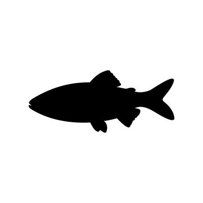 Seafood